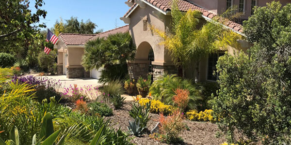 residence with water effecient landscaping